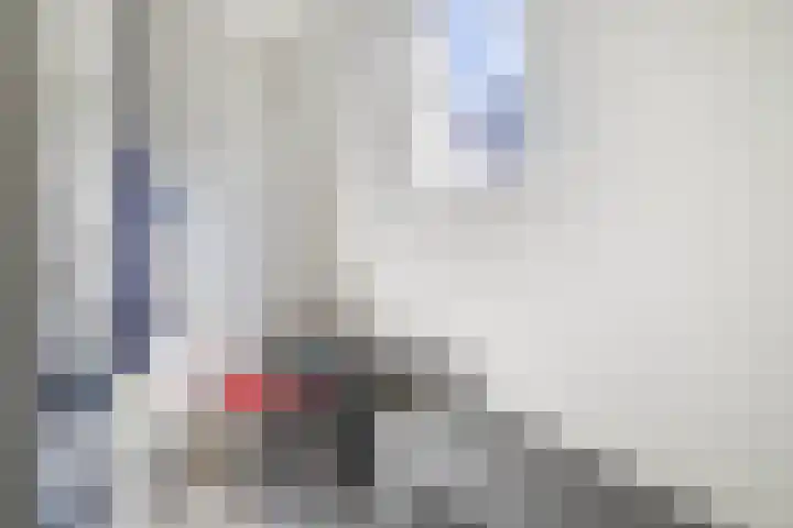 Oude Singel 46 Schoonhoven thumbnail 36