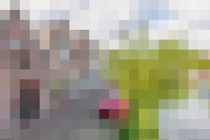 Oude Singel 46 Schoonhoven thumbnail 42