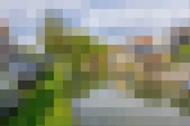 Oude Singel 46 Schoonhoven thumbnail 45