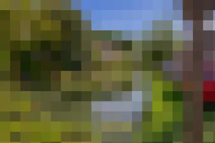 Oude Singel 46 Schoonhoven thumbnail 46