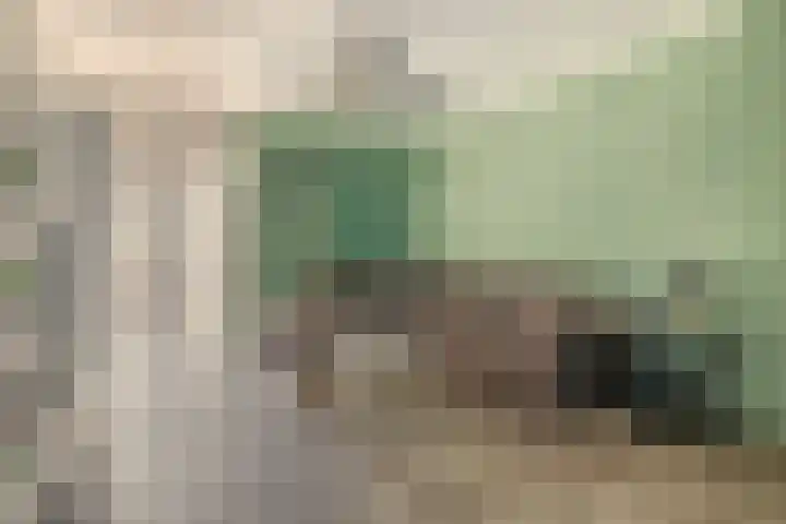 Oude Singel 46 Schoonhoven thumbnail 8