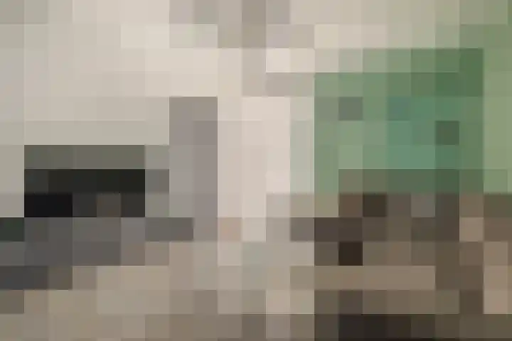 Oude Singel 46 Schoonhoven thumbnail 9