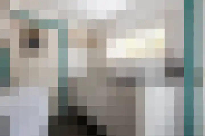 Oude Singel 56 Schoonhoven thumbnail 10