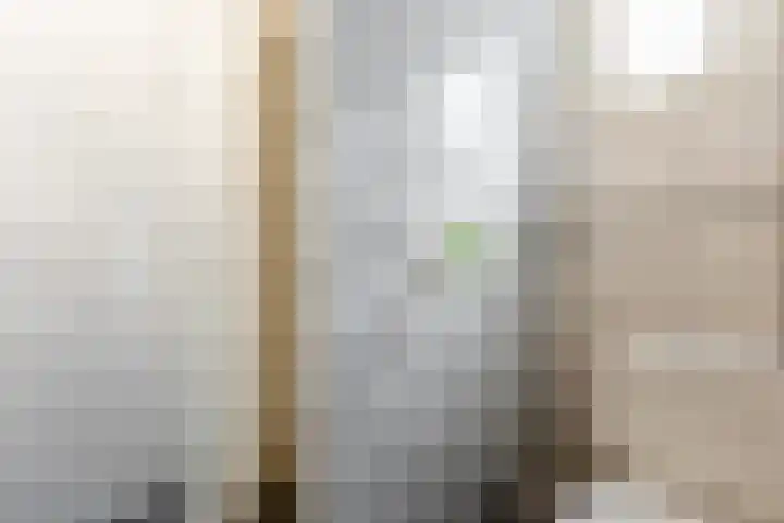 Oude Singel 56 Schoonhoven thumbnail 12