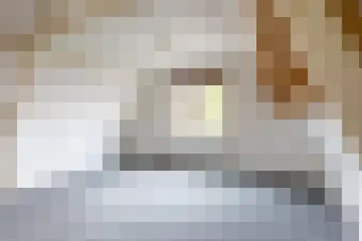 Oude Singel 56 Schoonhoven thumbnail 17