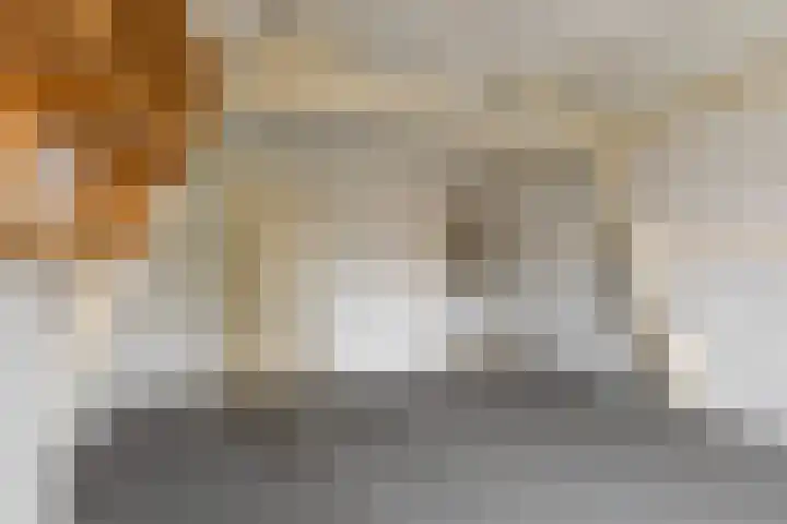 Oude Singel 56 Schoonhoven thumbnail 18