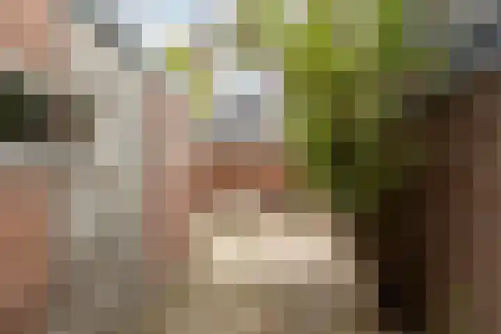 Oude Singel 56 Schoonhoven thumbnail 21