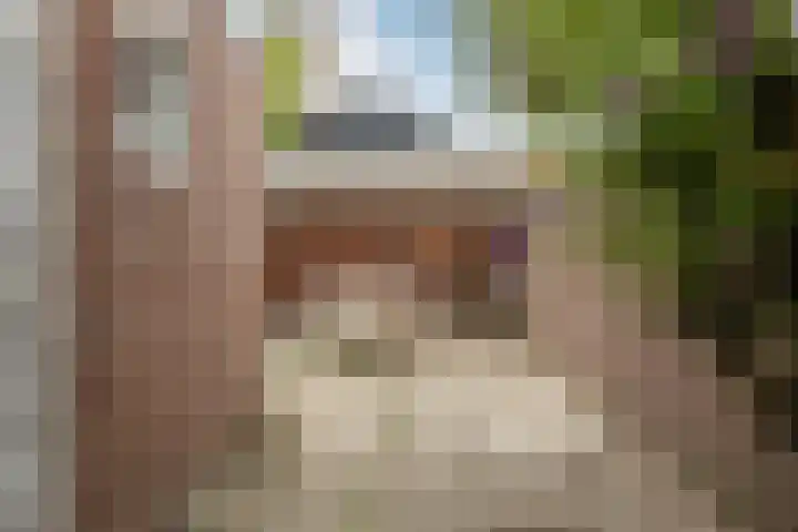 Oude Singel 56 Schoonhoven thumbnail 22