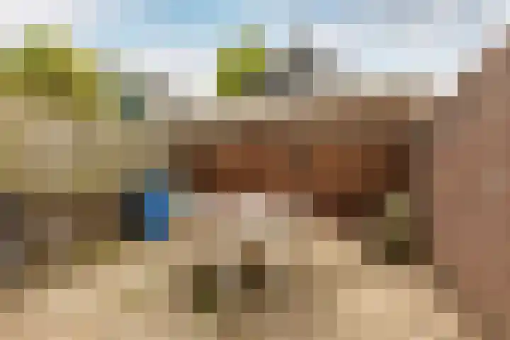 Oude Singel 56 Schoonhoven thumbnail 23