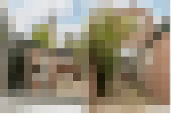 Oude Singel 56 Schoonhoven thumbnail 24