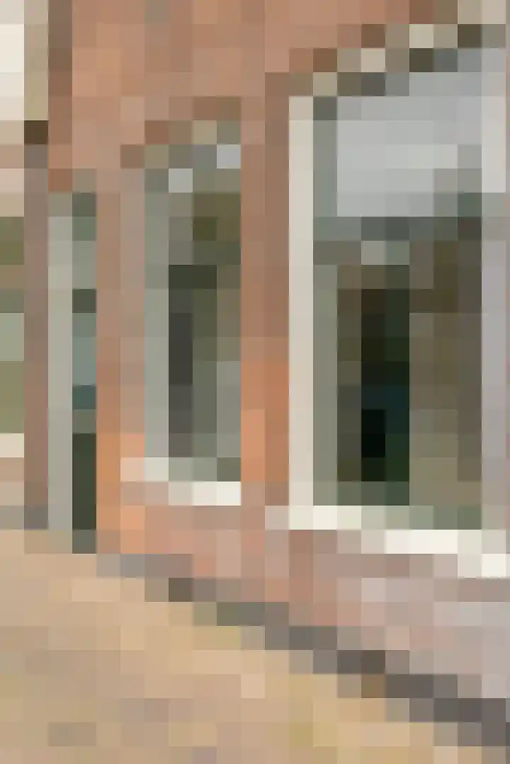 Oude Singel 56 Schoonhoven thumbnail 42