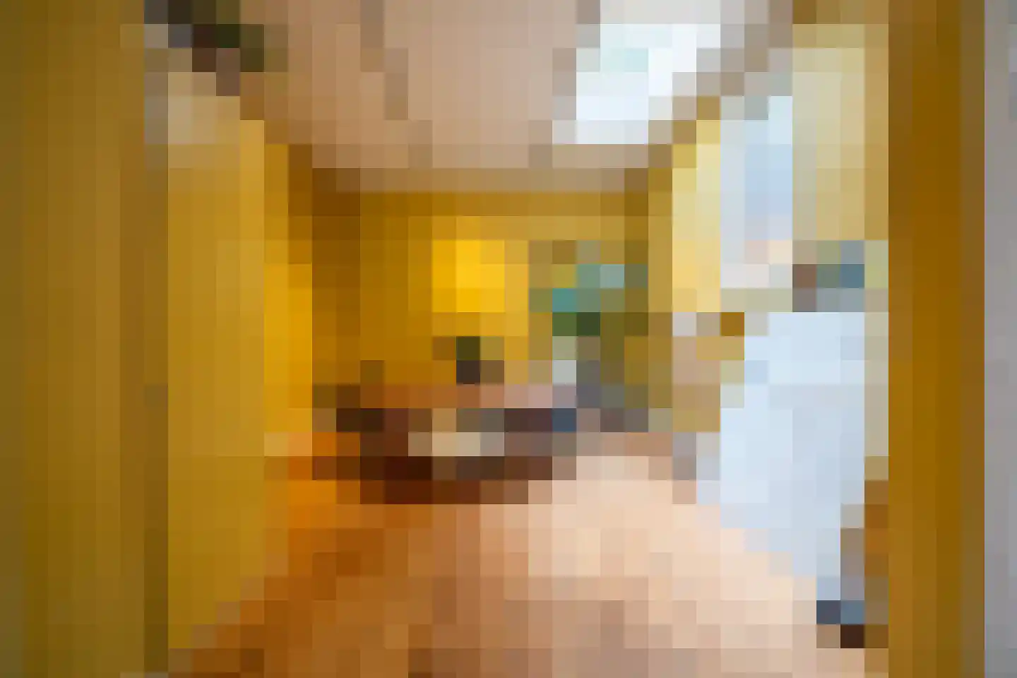 Oude Singel 72 Leiden thumbnail 17