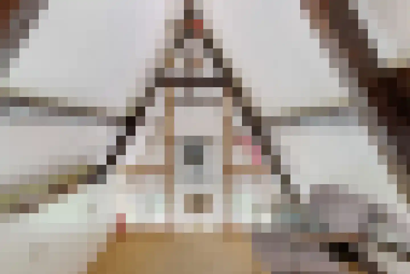 Oude Singel 76 Leiden thumbnail 54