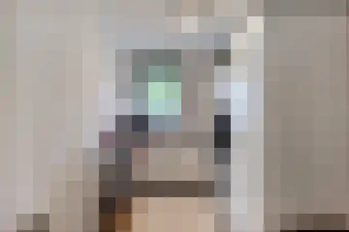 Oude Singel 78 E Leiden thumbnail 12