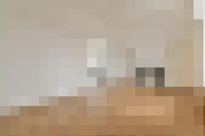 Oude Singel 78 E Leiden foto 2