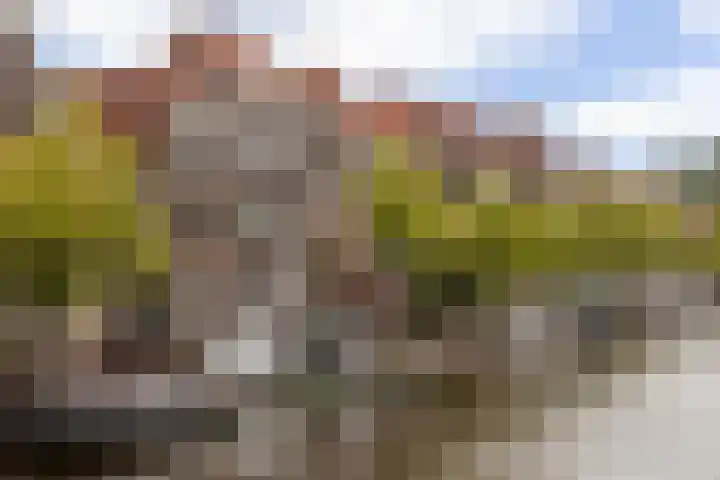 Oude Singel 84 Leiden thumbnail 28