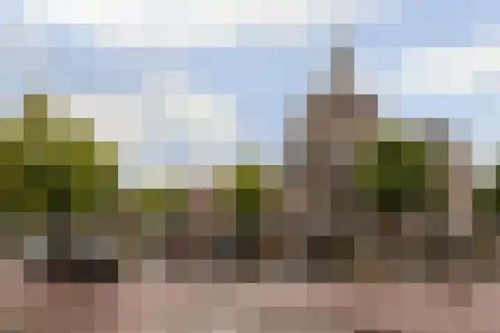 Oude Singel 84 Leiden thumbnail 30