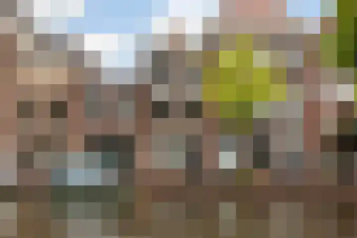Oude Singel 84 Leiden thumbnail 7