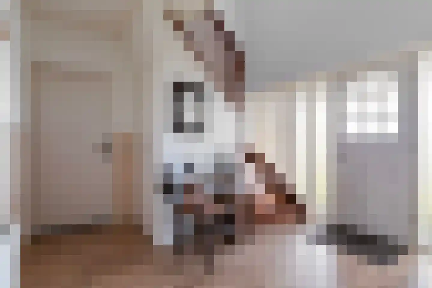Oude Sluisweg 7 Diepenheim thumbnail 13