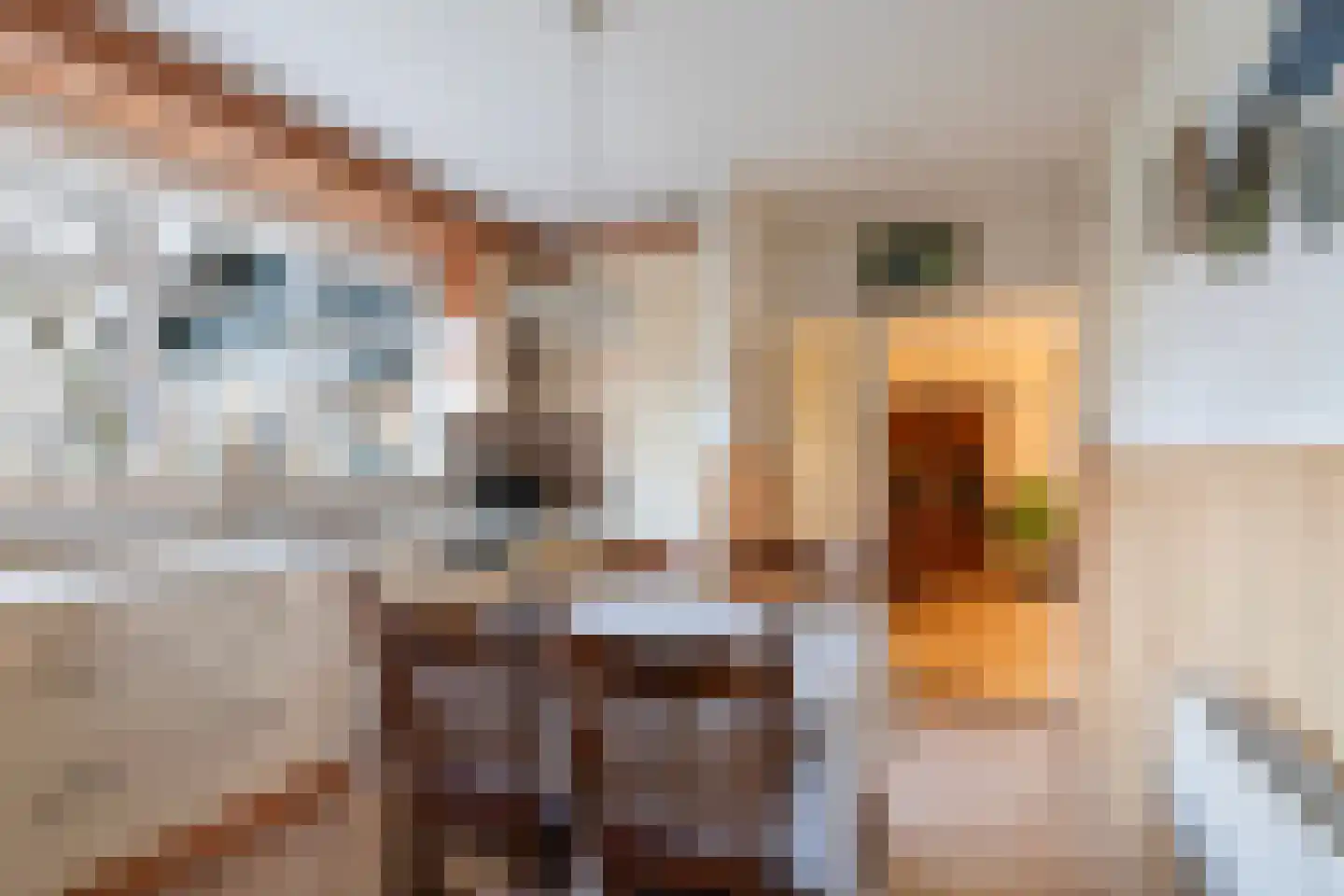 Oude Sluisweg 7 Diepenheim thumbnail 18