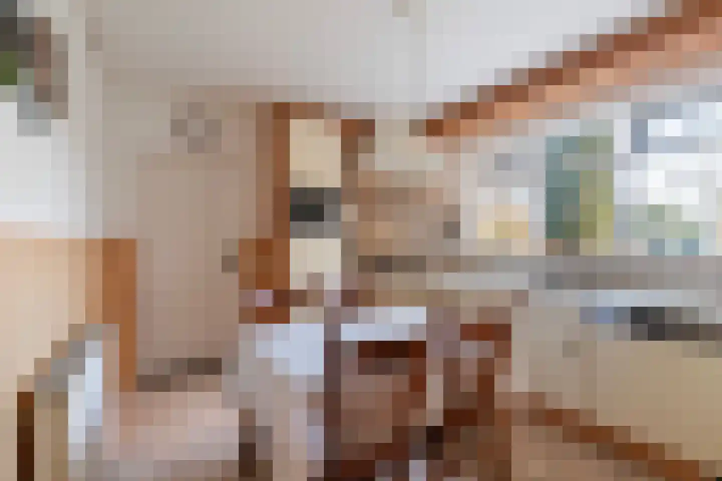 Oude Sluisweg 7 Diepenheim thumbnail 19