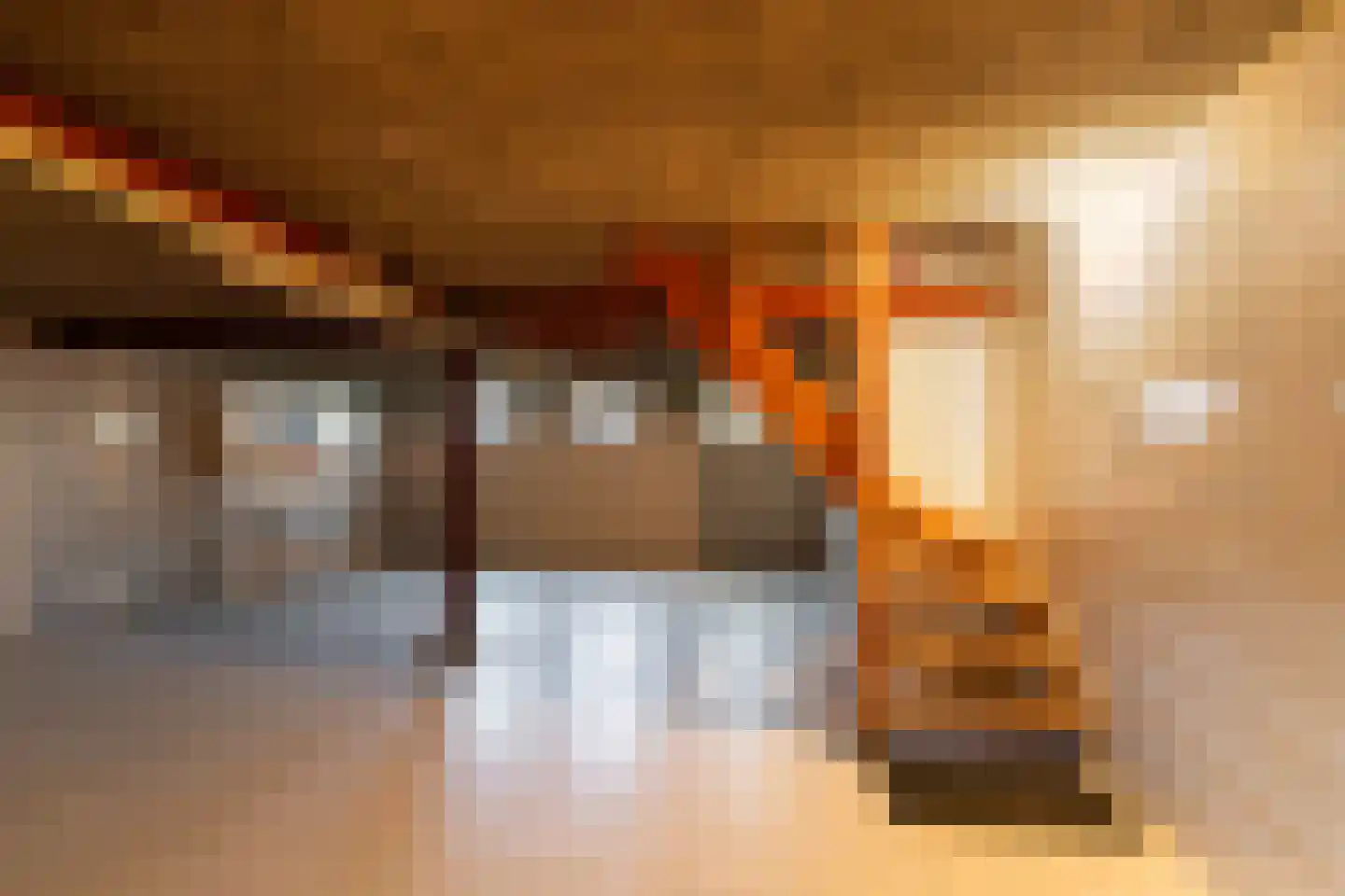 Oude Sluisweg 7 Diepenheim thumbnail 30