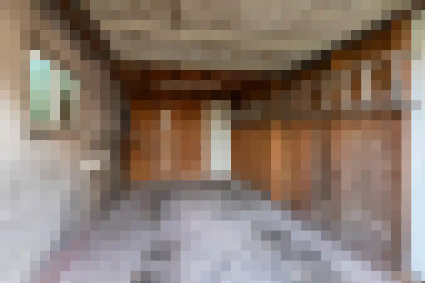 Oude Sluisweg 7 Diepenheim thumbnail 39