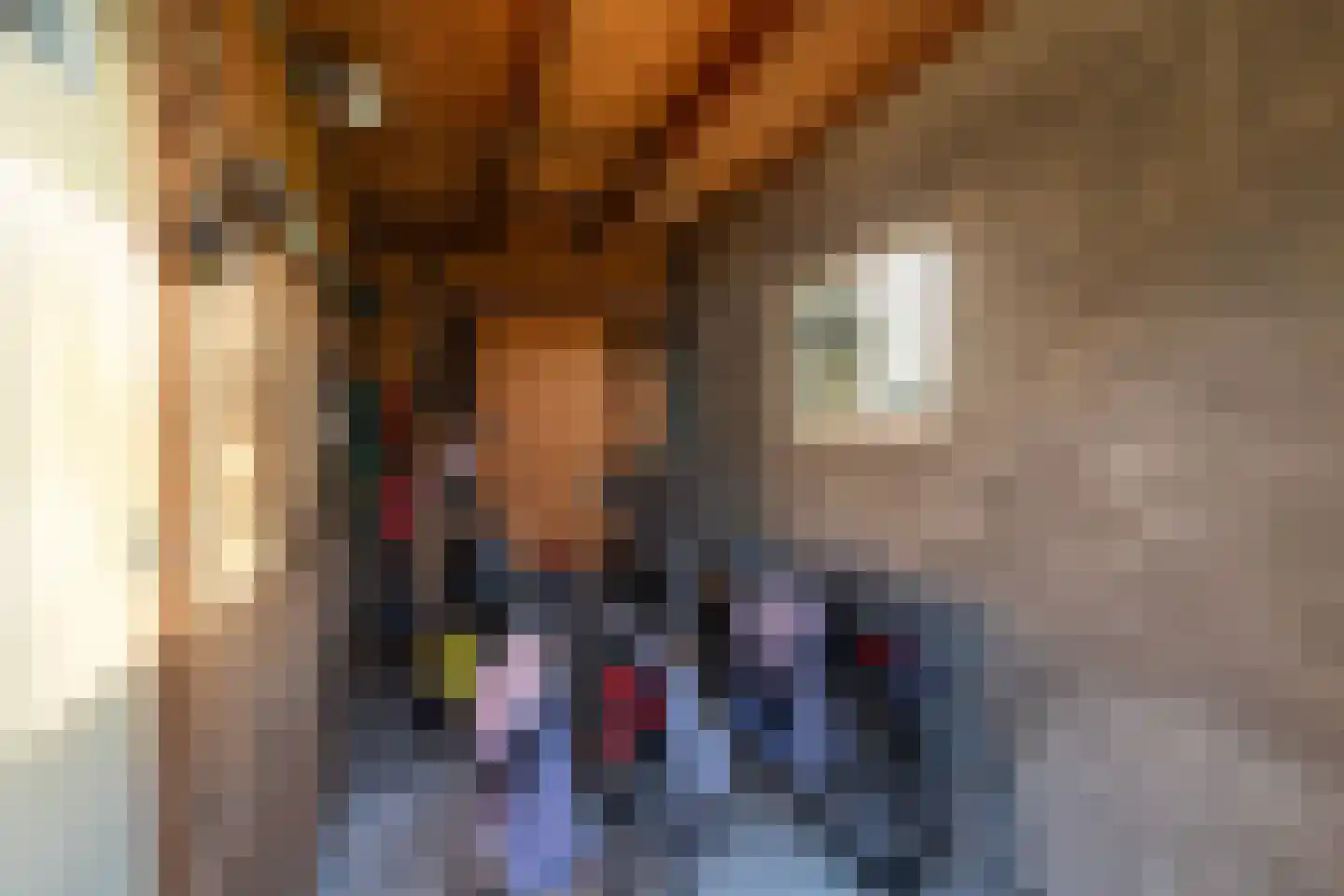 Oude Sluisweg 7 Diepenheim thumbnail 40