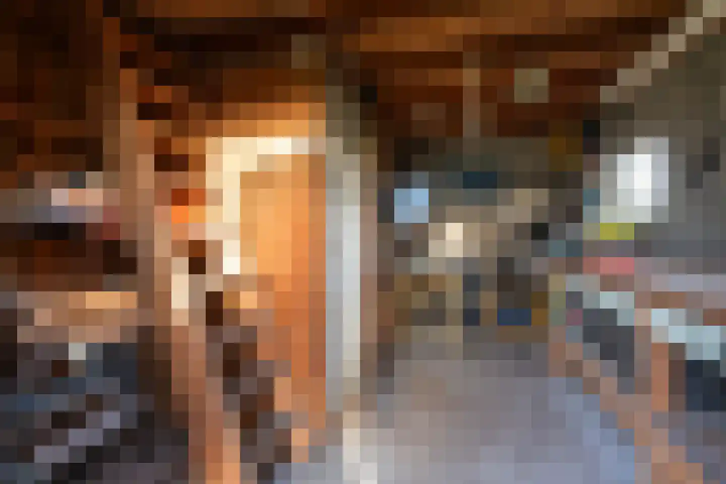 Oude Sluisweg 7 Diepenheim thumbnail 41