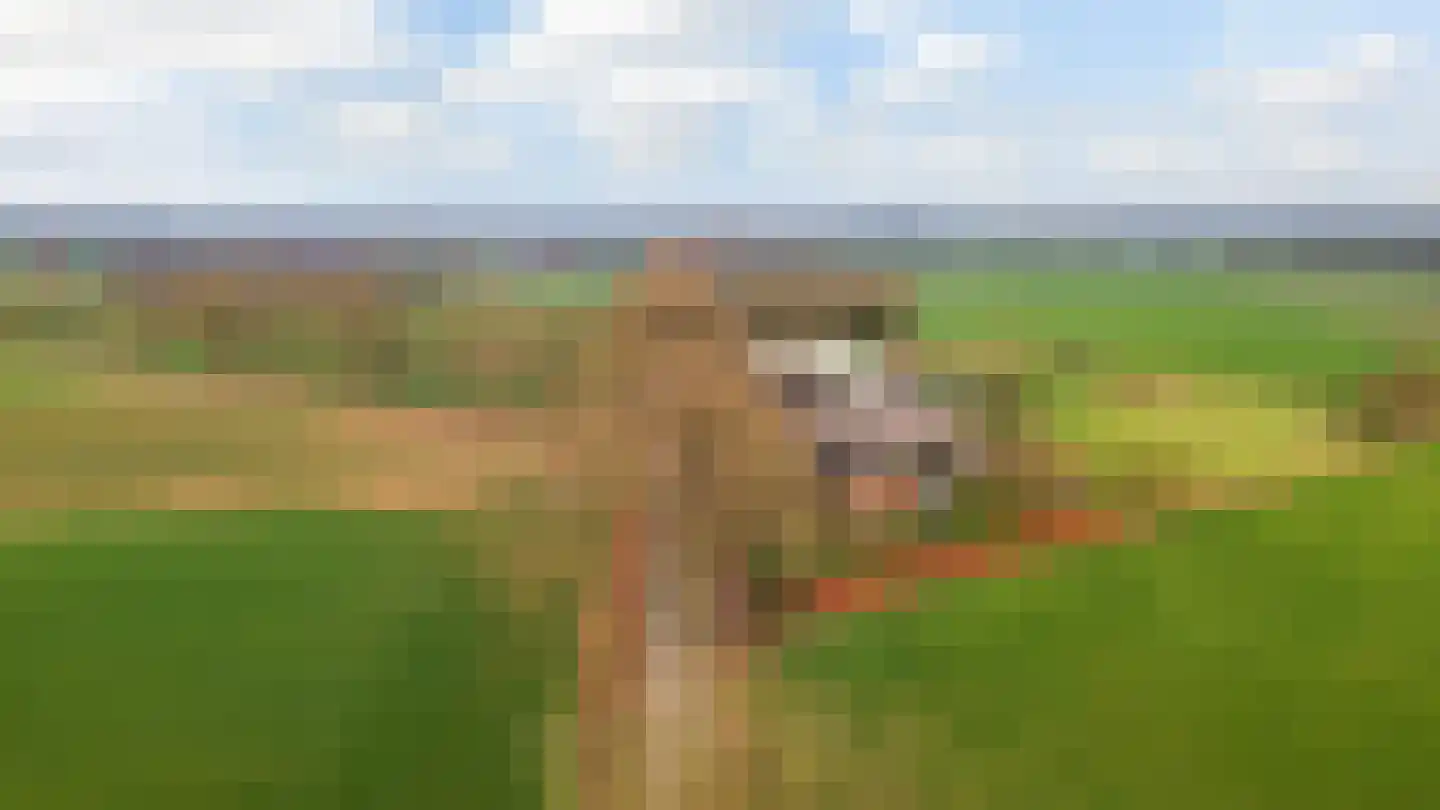 Oude Sluisweg 7 Diepenheim thumbnail 45