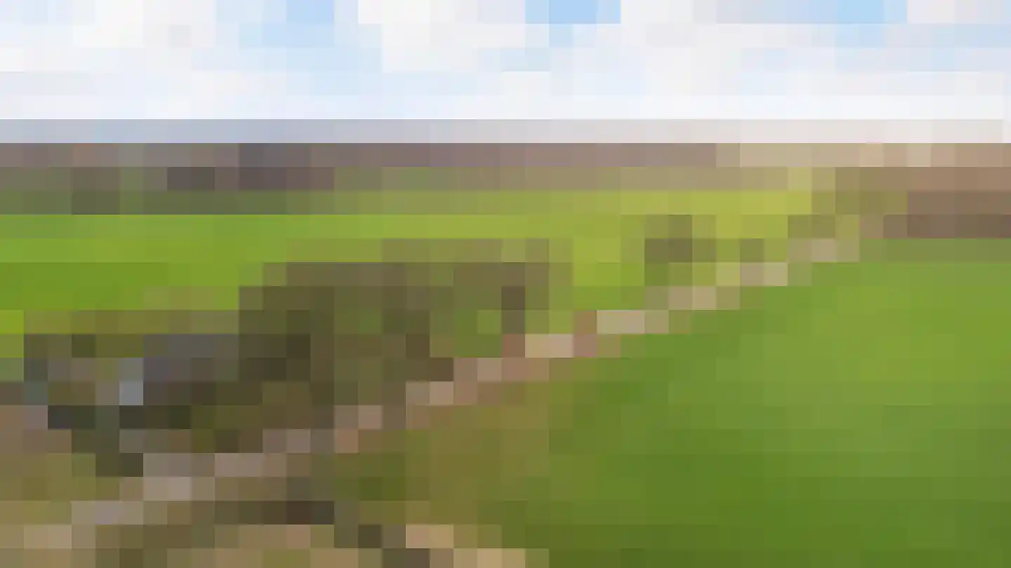 Oude Sluisweg 7 Diepenheim thumbnail 46