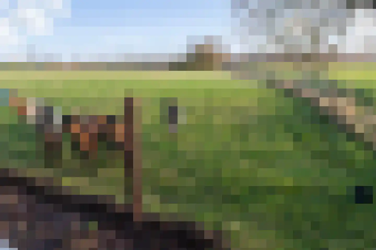 Oude Sluisweg 7 Diepenheim thumbnail 49