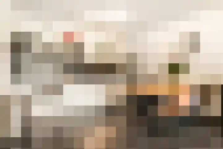 Oude Spaarneweg 37 Cruquius thumbnail 12