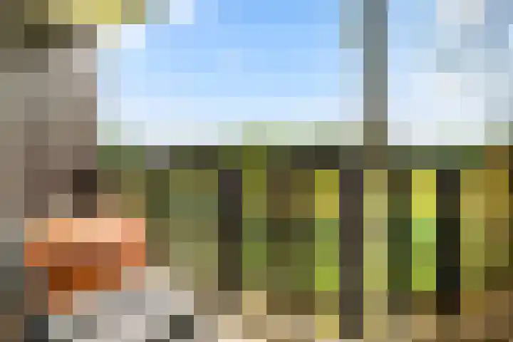 Oude Spaarneweg 37 Cruquius thumbnail 20