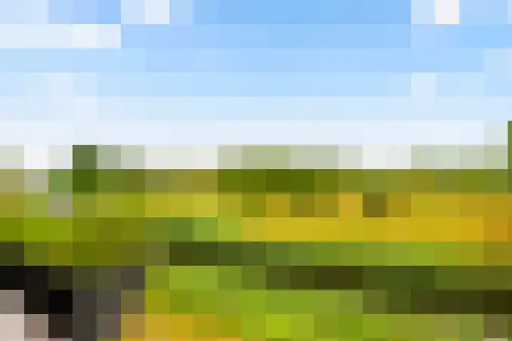 Oude Spaarneweg 37 Cruquius thumbnail 22