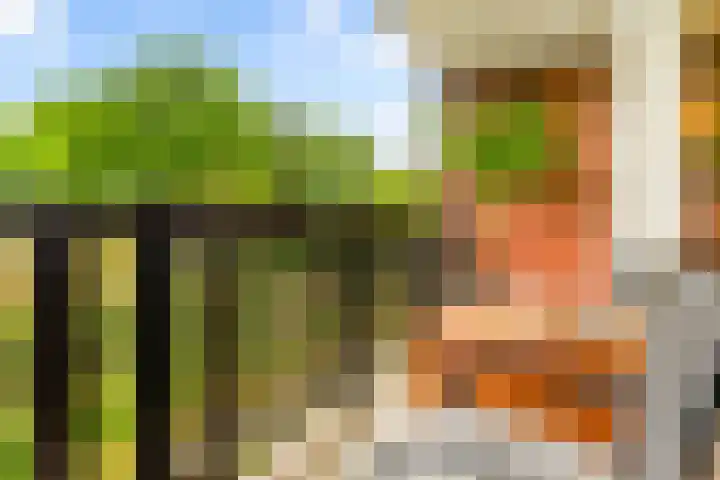 Oude Spaarneweg 37 Cruquius thumbnail 23
