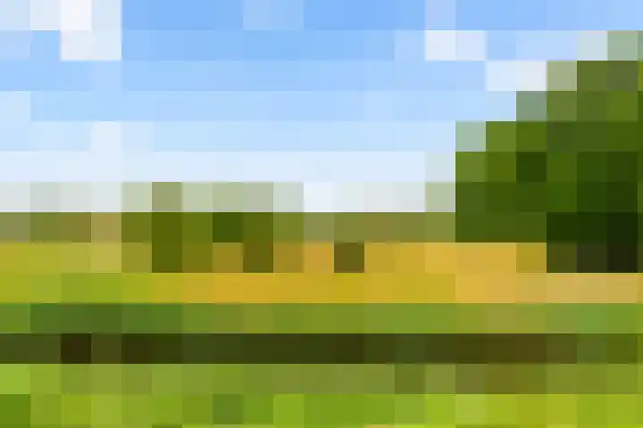 Oude Spaarneweg 37 Cruquius thumbnail 24