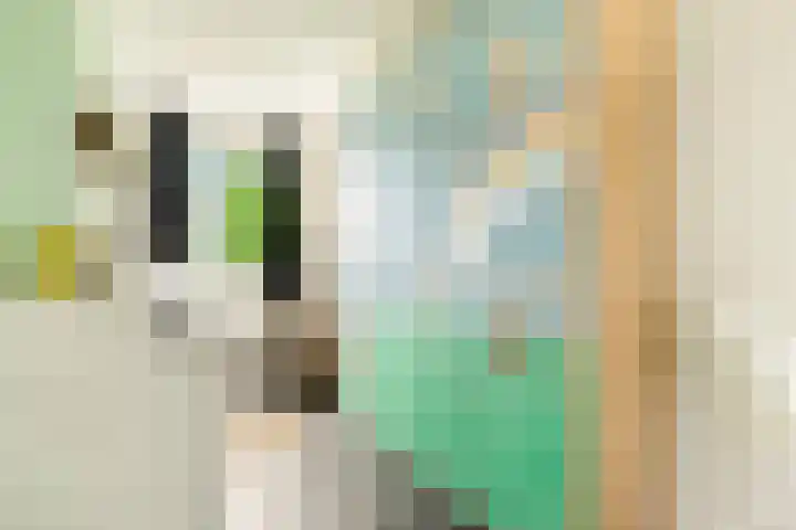 Oude Spaarneweg 37 Cruquius thumbnail 33