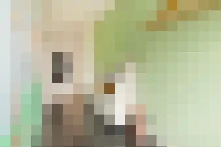 Oude Spaarneweg 37 Cruquius thumbnail 34