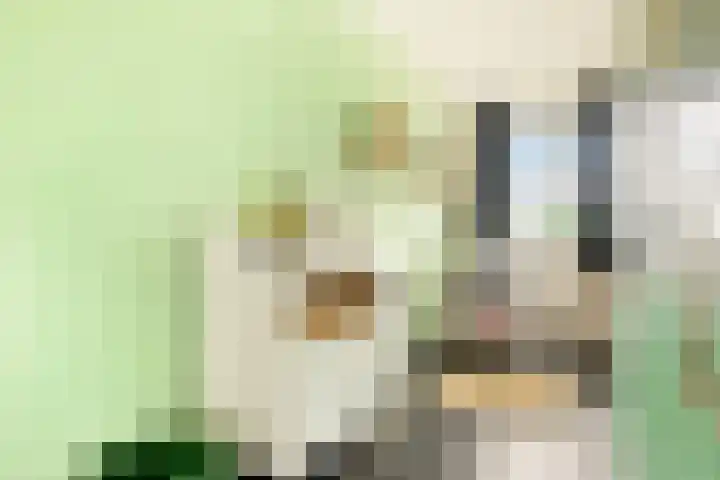 Oude Spaarneweg 37 Cruquius thumbnail 35