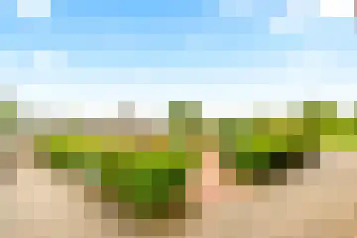 Oude Spaarneweg 37 Cruquius thumbnail 37
