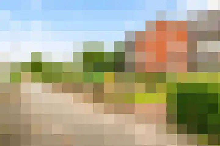 Oude Spaarneweg 37 Cruquius thumbnail 38