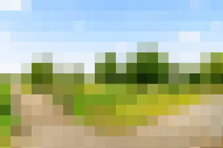 Oude Spaarneweg 37 Cruquius thumbnail 39