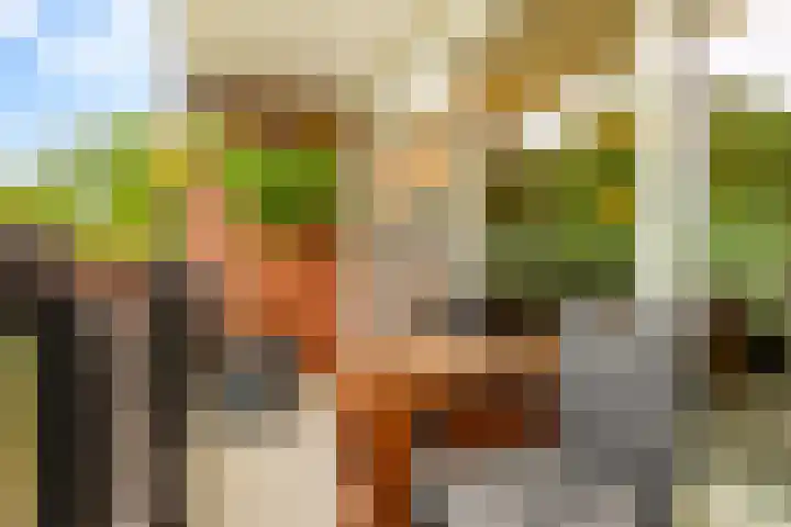 Oude Spaarneweg 37 Cruquius thumbnail 4