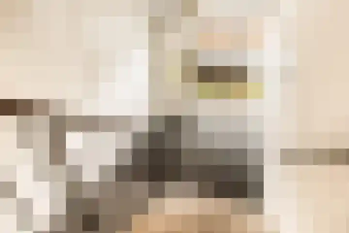 Oude Spaarneweg 37 Cruquius thumbnail 8