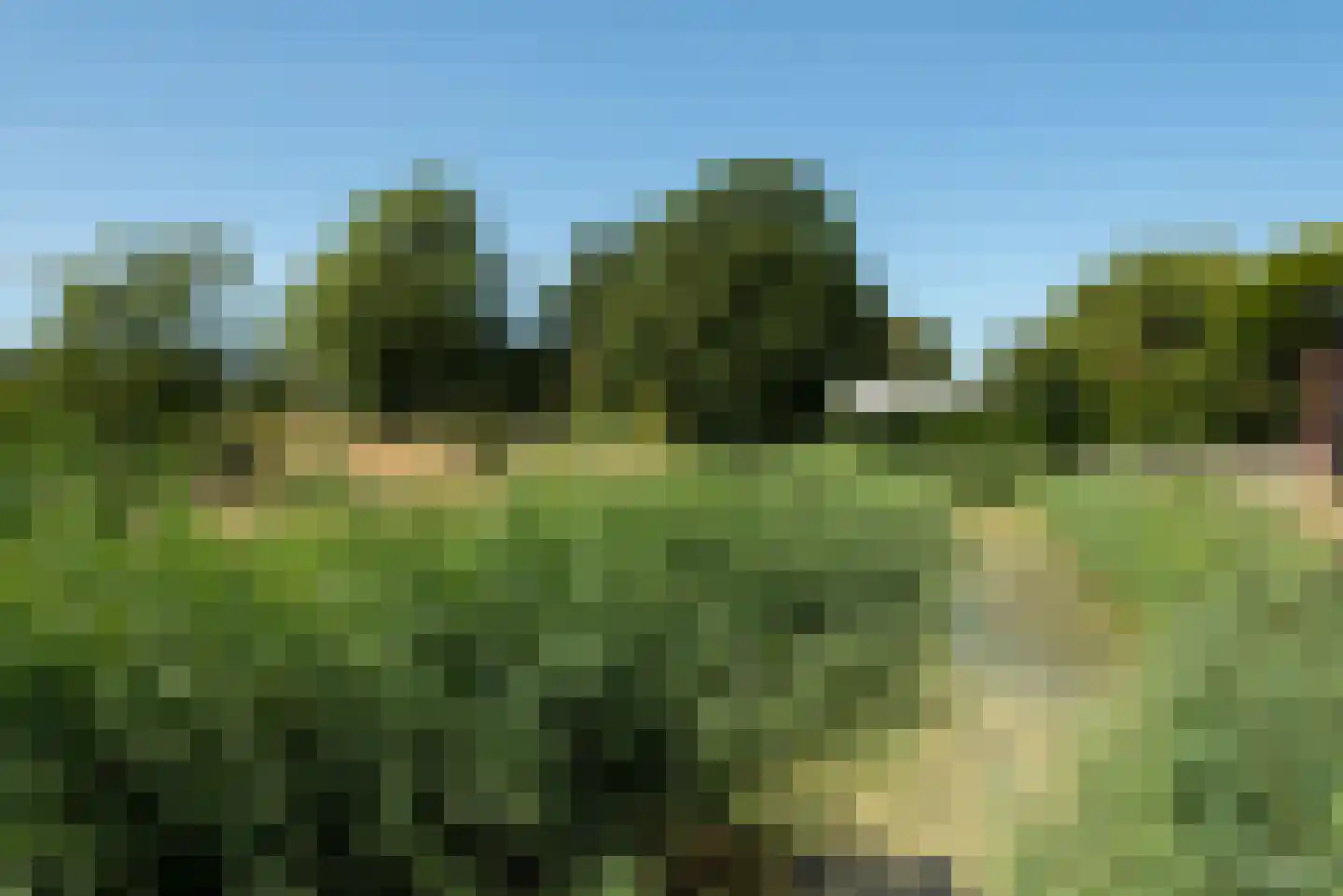 Oude Spaarneweg 65 Cruquius thumbnail 30