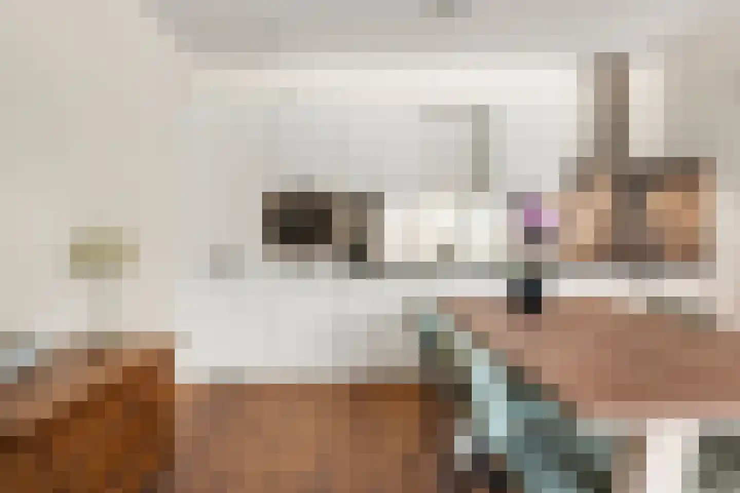 Oude Spaarneweg 65 Cruquius thumbnail 8