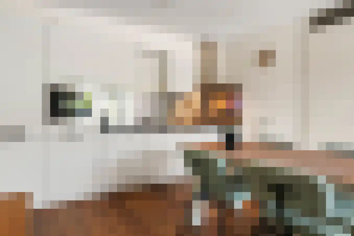 Oude Spaarneweg 65 Cruquius thumbnail 9