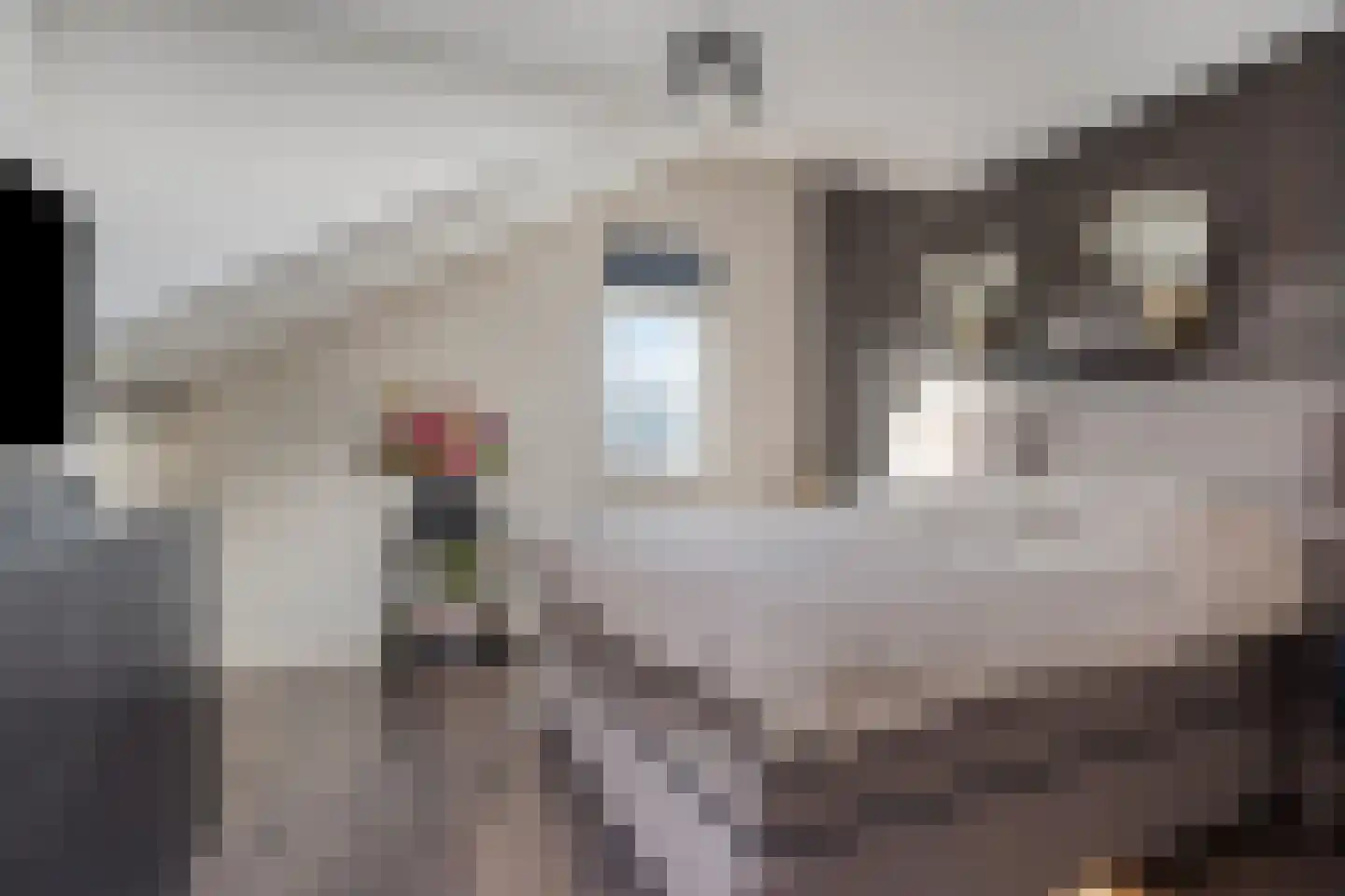 Oude Spaarneweg 81 Cruquius thumbnail 15