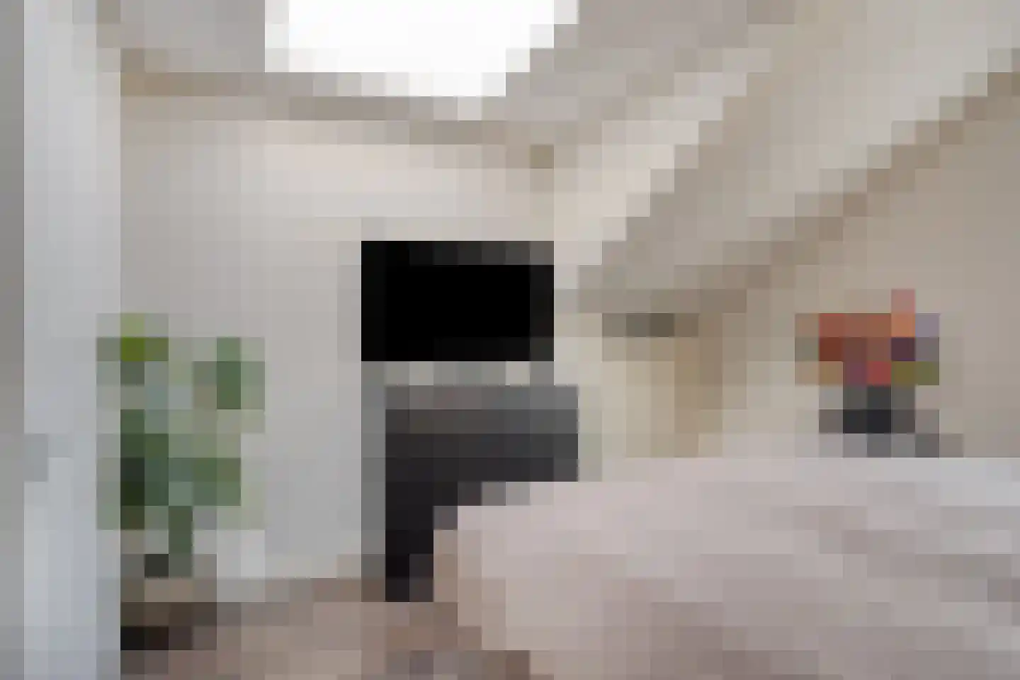 Oude Spaarneweg 81 Cruquius thumbnail 16